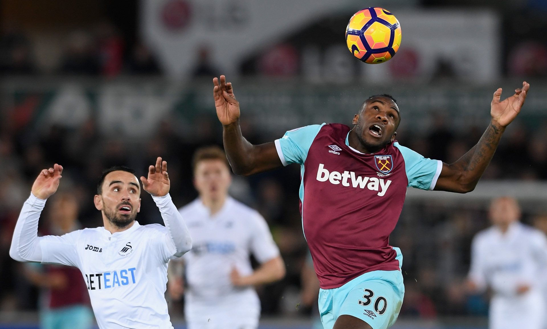 也验证了其 也验证了其