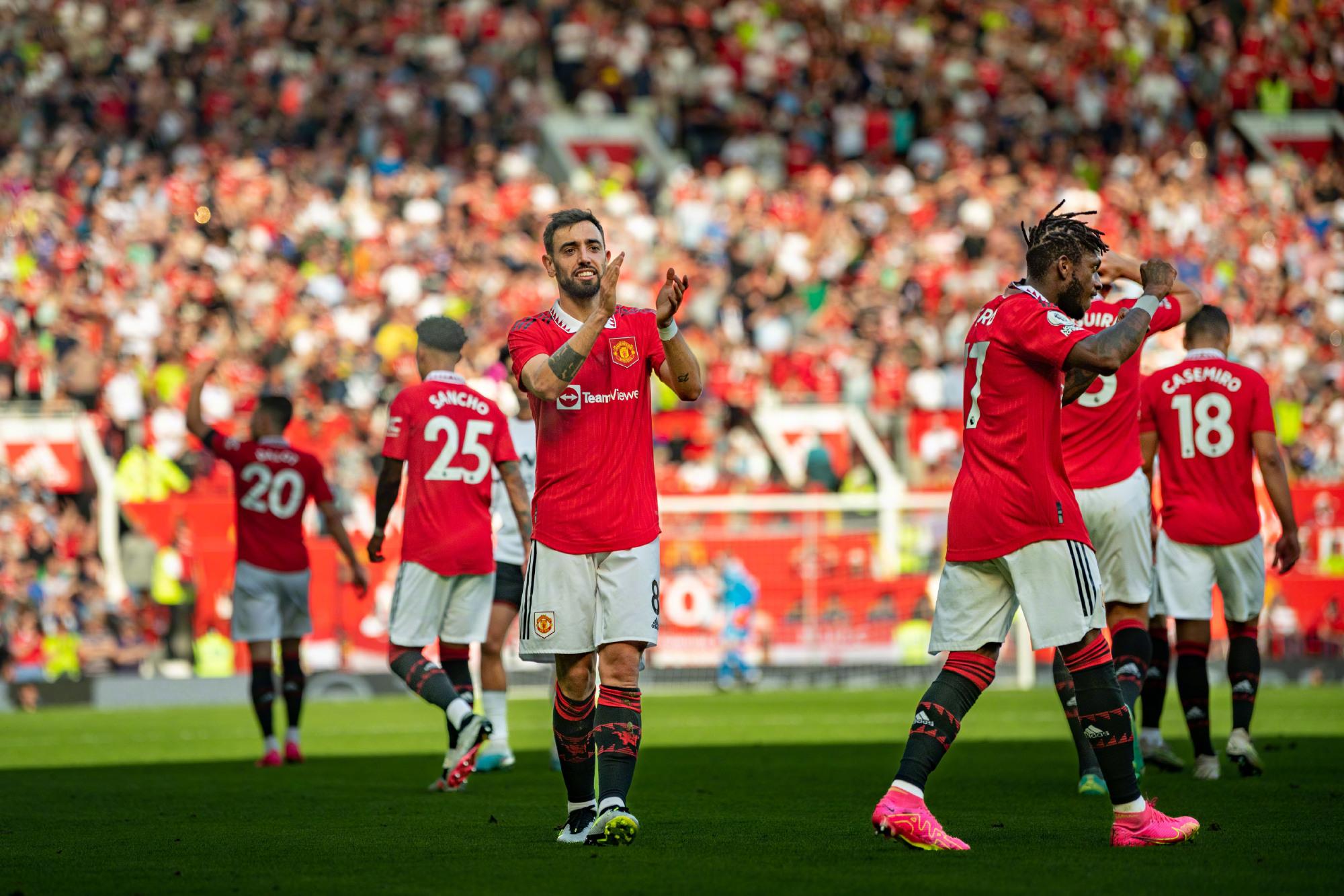 稳定的主力 稳定的主力